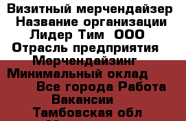 Визитный мерчендайзер › Название организации ­ Лидер Тим, ООО › Отрасль предприятия ­ Мерчендайзинг › Минимальный оклад ­ 18 000 - Все города Работа » Вакансии   . Тамбовская обл.,Моршанск г.